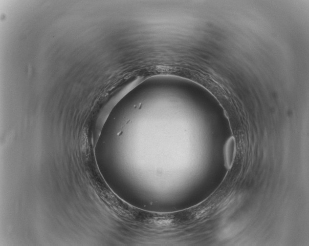 X0000086900651200704231154