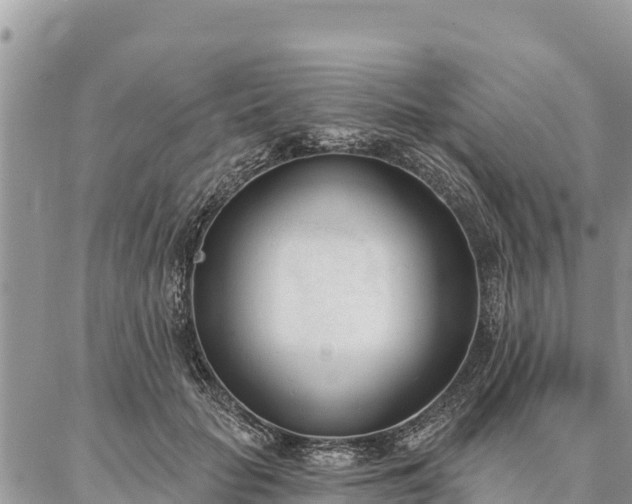 X0000086900653200704231154