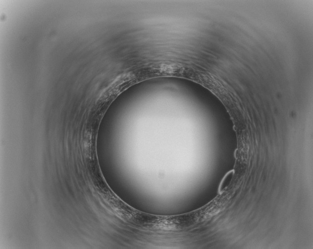 X0000086900656200704231154