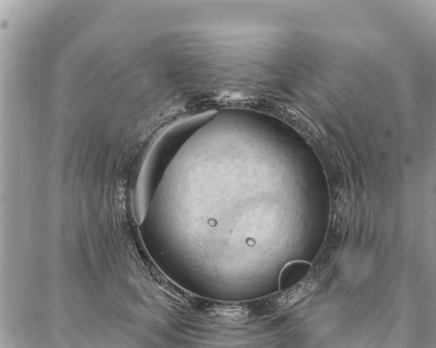 X0000086900659200704231154