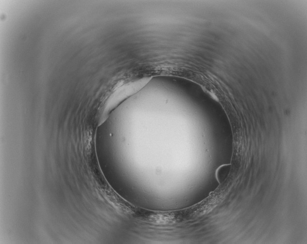 X0000086900660200704231154