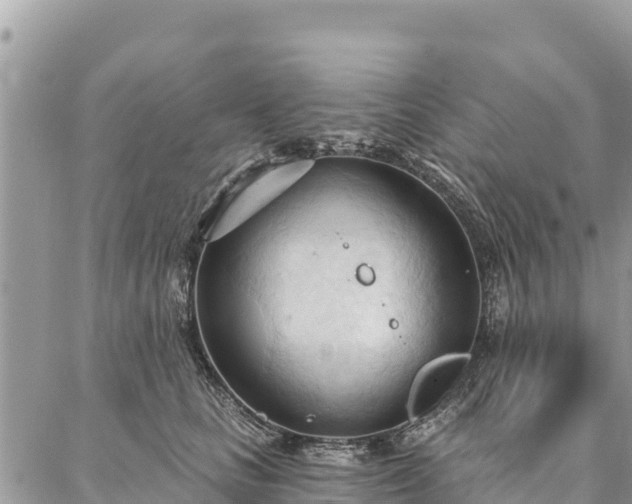 X0000086900661200704231154