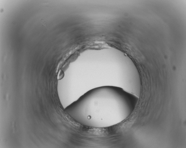 X0000086900672200704231155