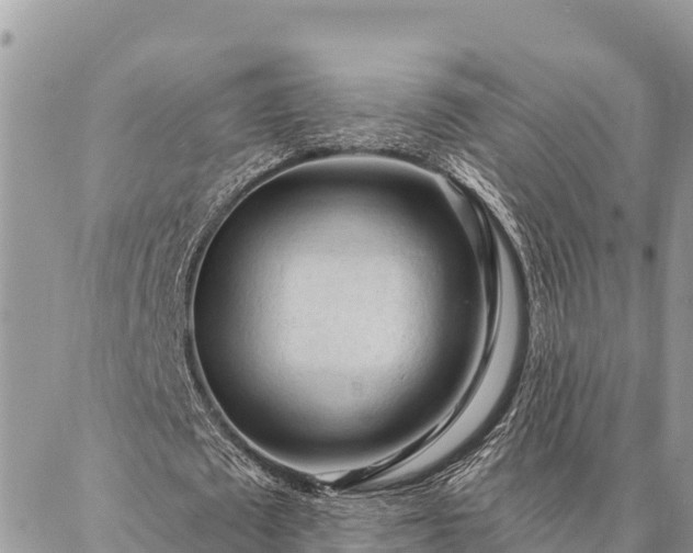 X0000086900673200704231154