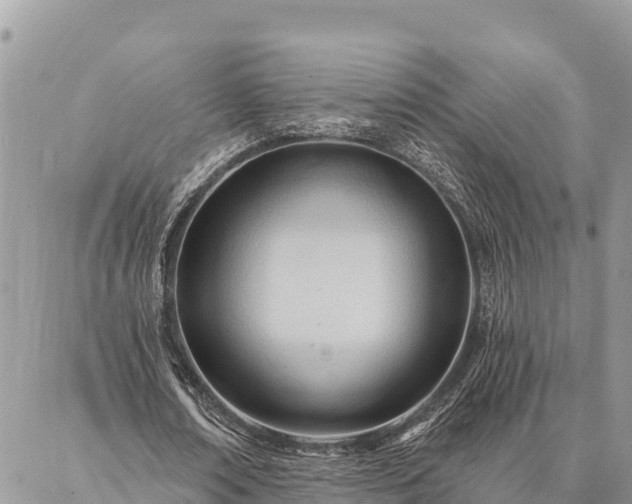 X0000086900674200704231154