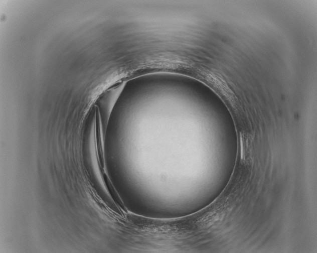 X0000086900675200704231154