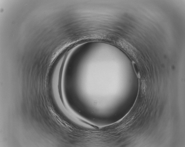 X0000086900676200704231154