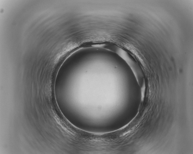 X0000086900677200704231154