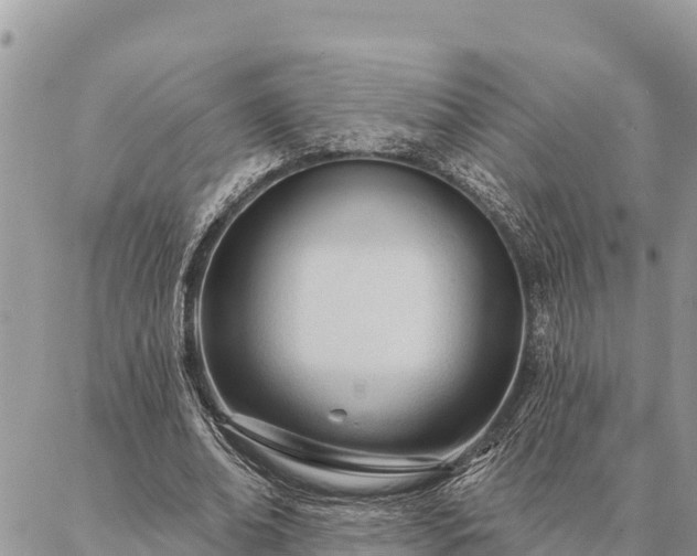 X0000086900678200704231154