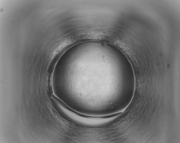 X0000086900679200704231154