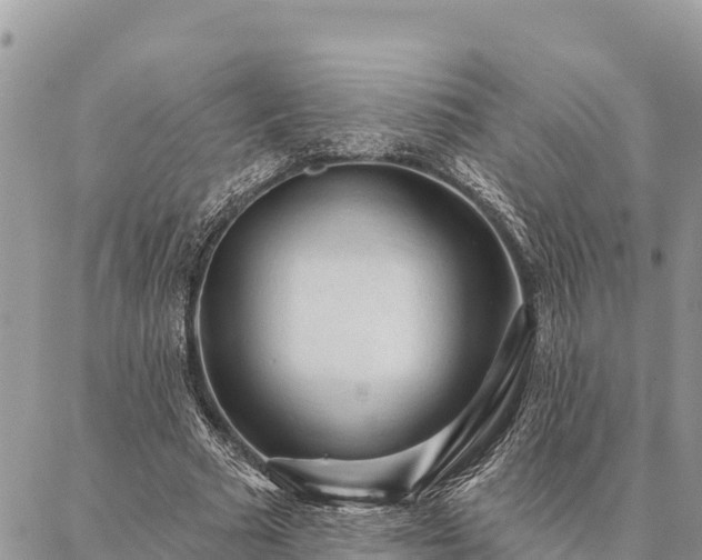 X0000086900681200704231154