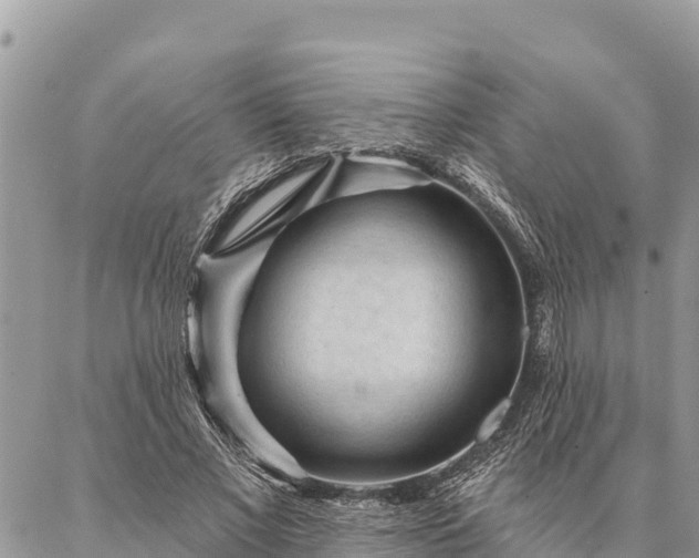 X0000086900685200704231154