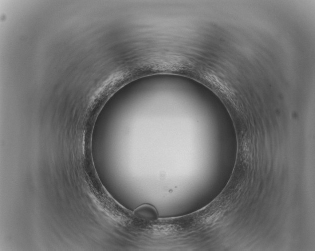 X0000086900686200704231154