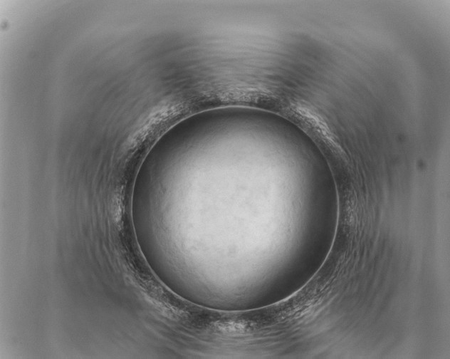 X0000086900687200704231154