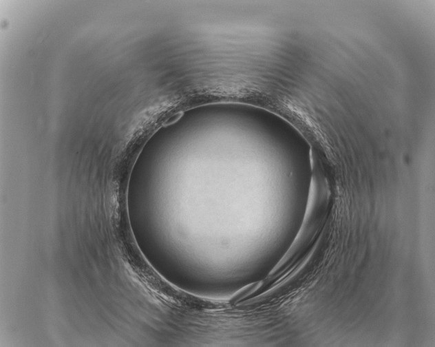 X0000086900688200704231154