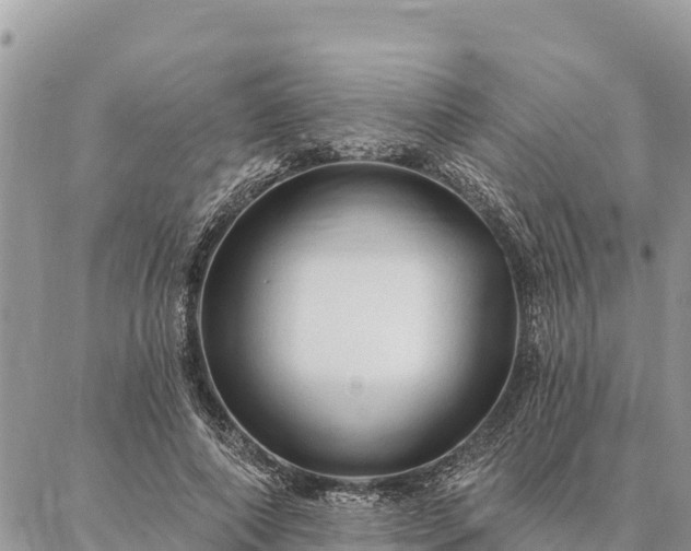 X0000086900690200704231153