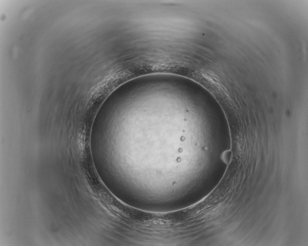 X0000086900691200704231153