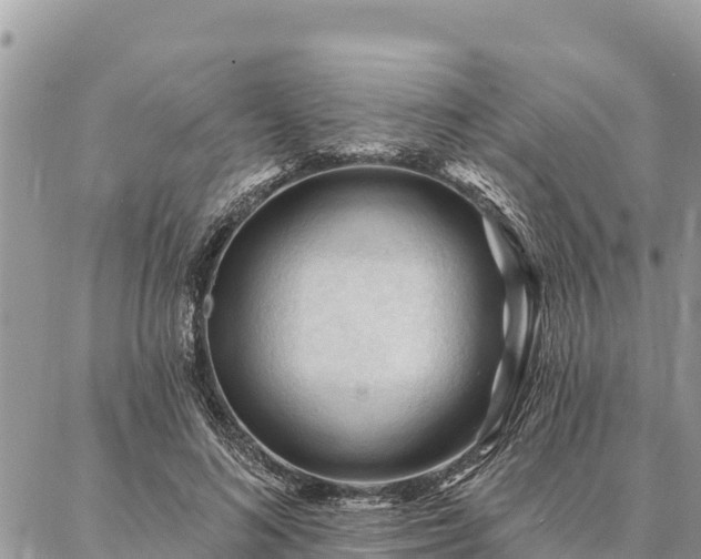 X0000086900692200704231153