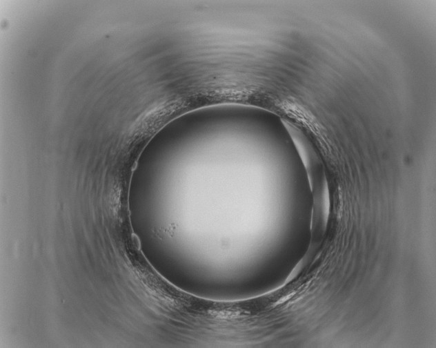 X0000086900693200704231153