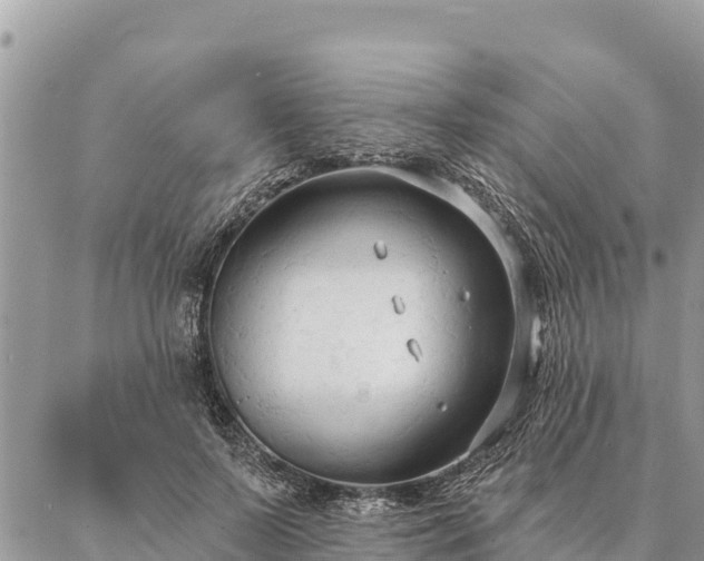 X0000086900695200704231153