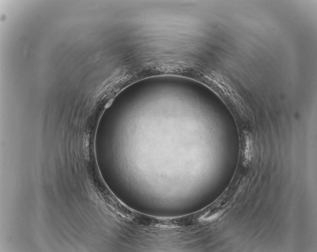 X0000086900696200704231153