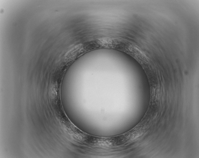 X0000086900702200704231153