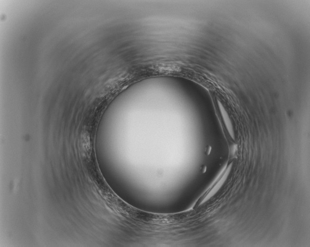 X0000086900704200704231153