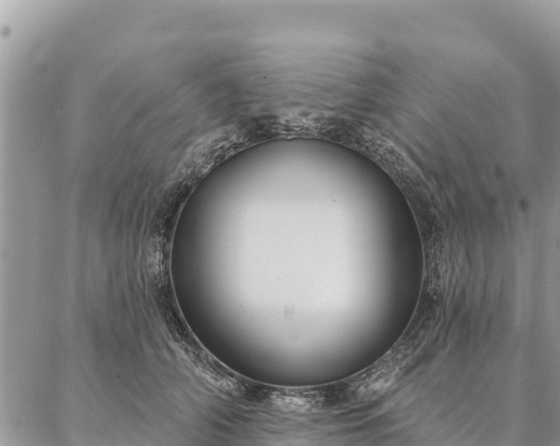 X0000086900706200704231153