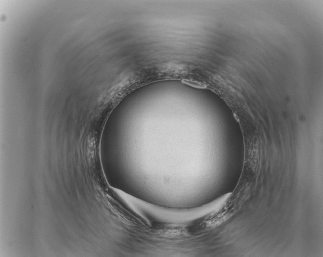 X0000086900708200704231153