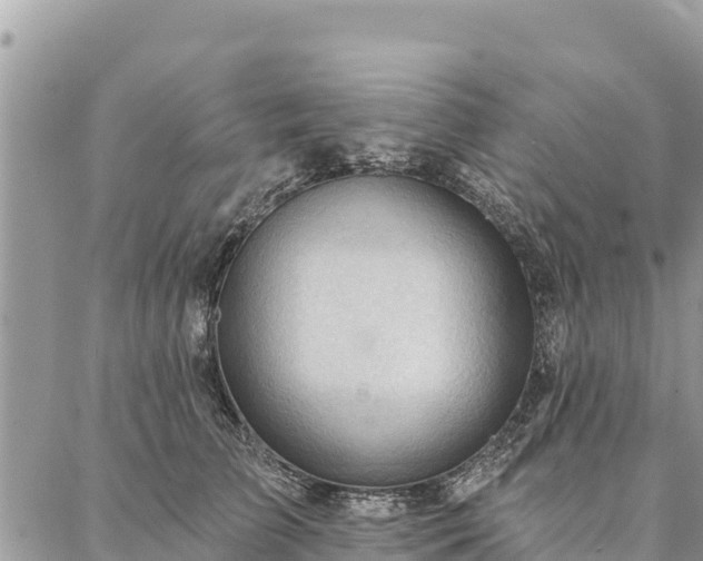 X0000086900709200704231153