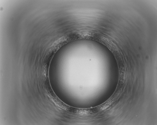 X0000086900710200704231153