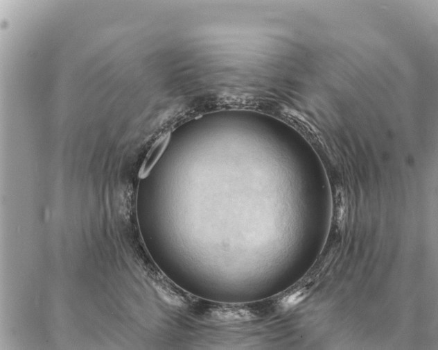 X0000086900712200704231153