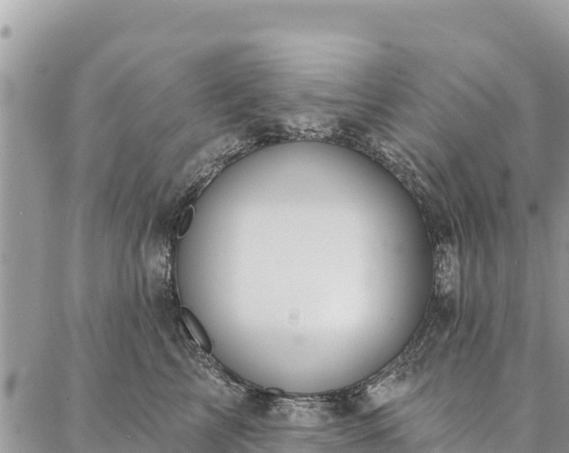 X0000086900713200704231153