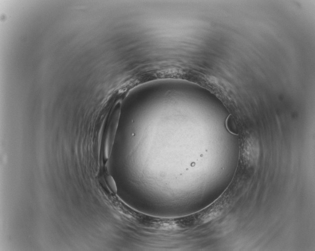 X0000086900715200704231153