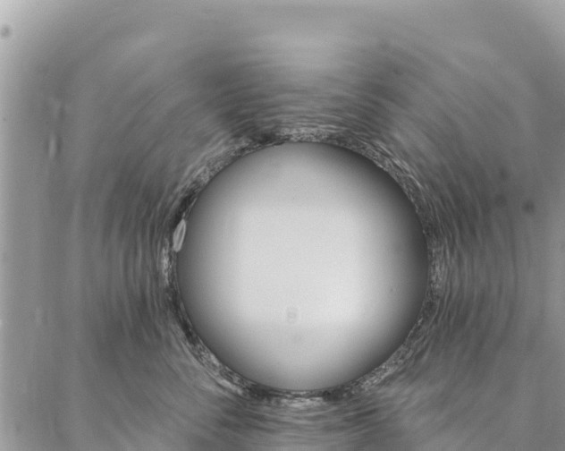 X0000086900716200704231153