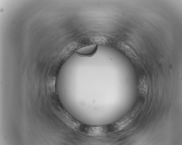 X0000086900717200704231153