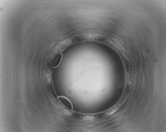 X0000086900718200704231153