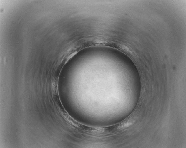 X0000086900720200704231153