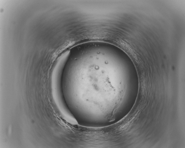 X0000086900721200704231152