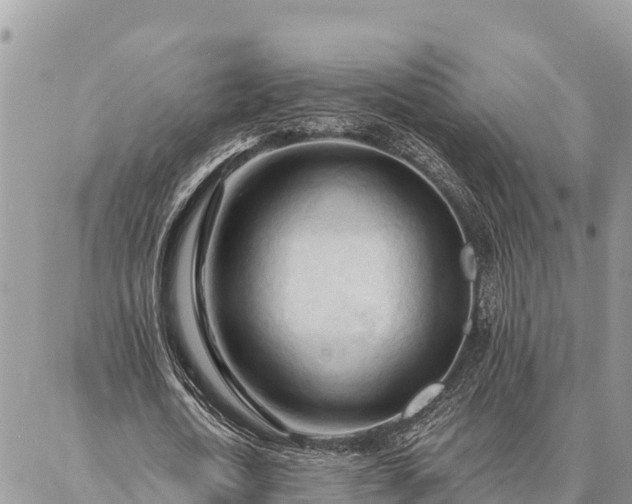 X0000086900722200704231152