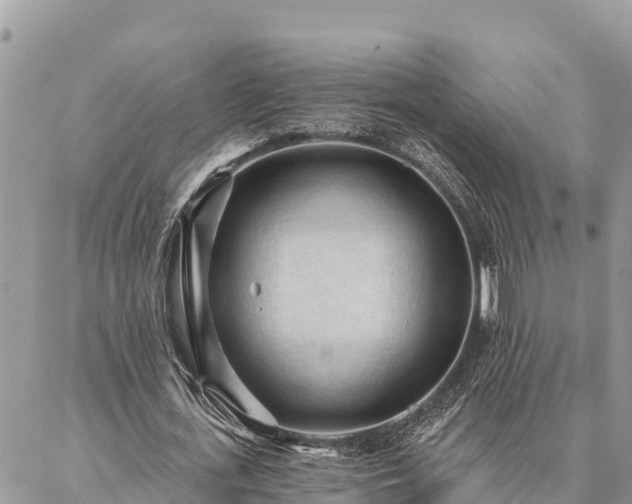 X0000086900723200704231152