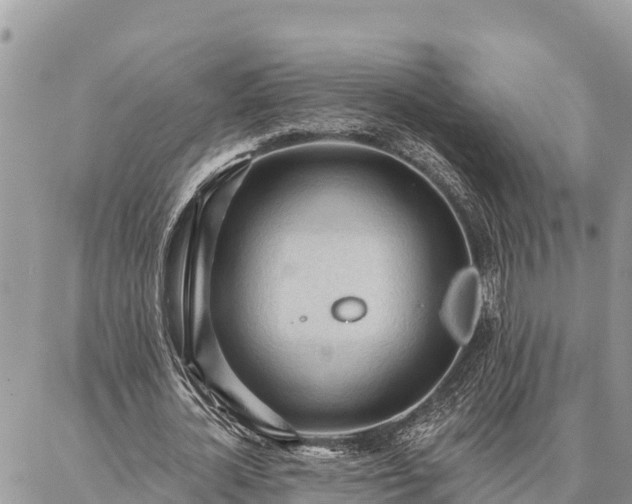 X0000086900724200704231152