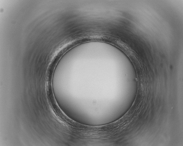 X0000086900728200704231152