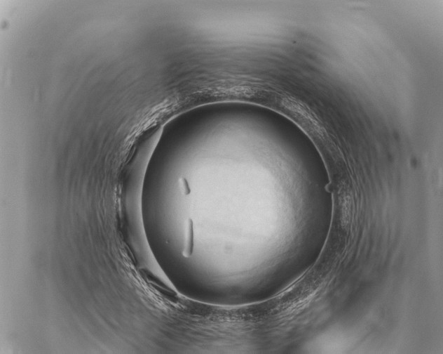 X0000086900729200704231152