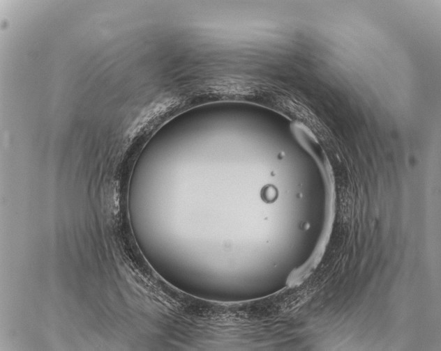 X0000086900731200704231152