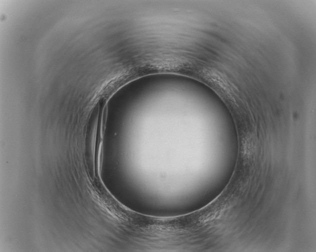 X0000086900733200704231152