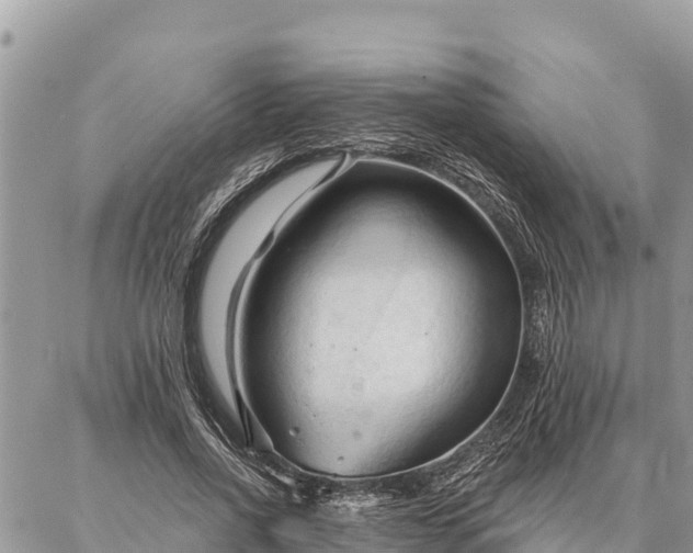 X0000086900734200704231152