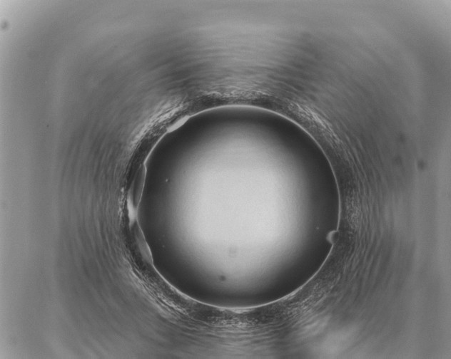 X0000086900735200704231152