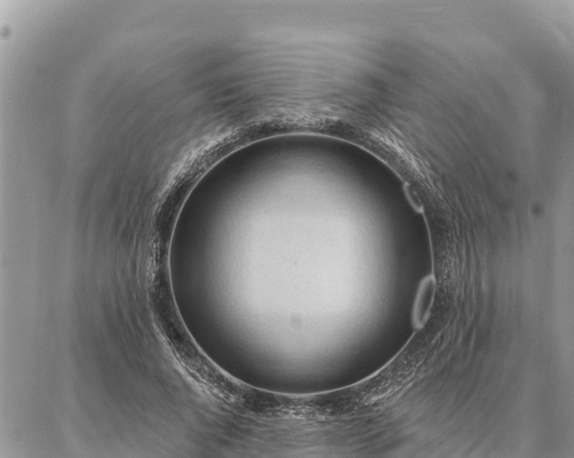 X0000086900736200704231152