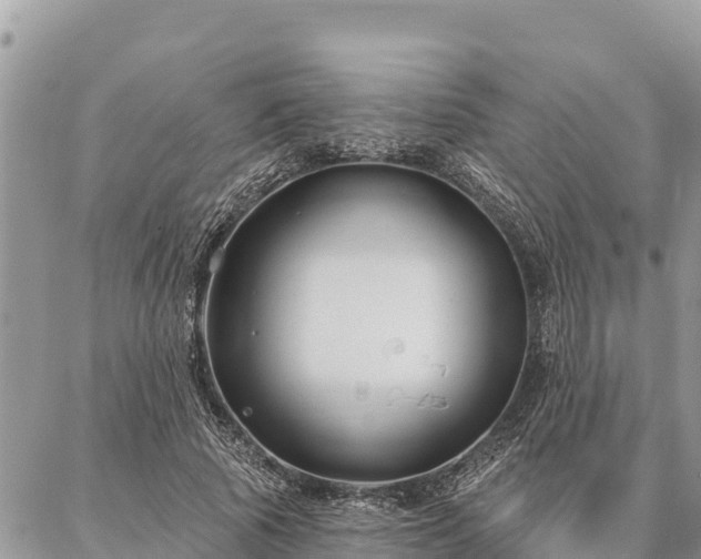 X0000086900737200704231152